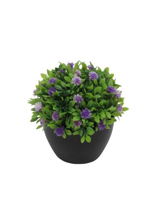 ROSAS ROCOCO MINI LILAS MACETA NEGRA